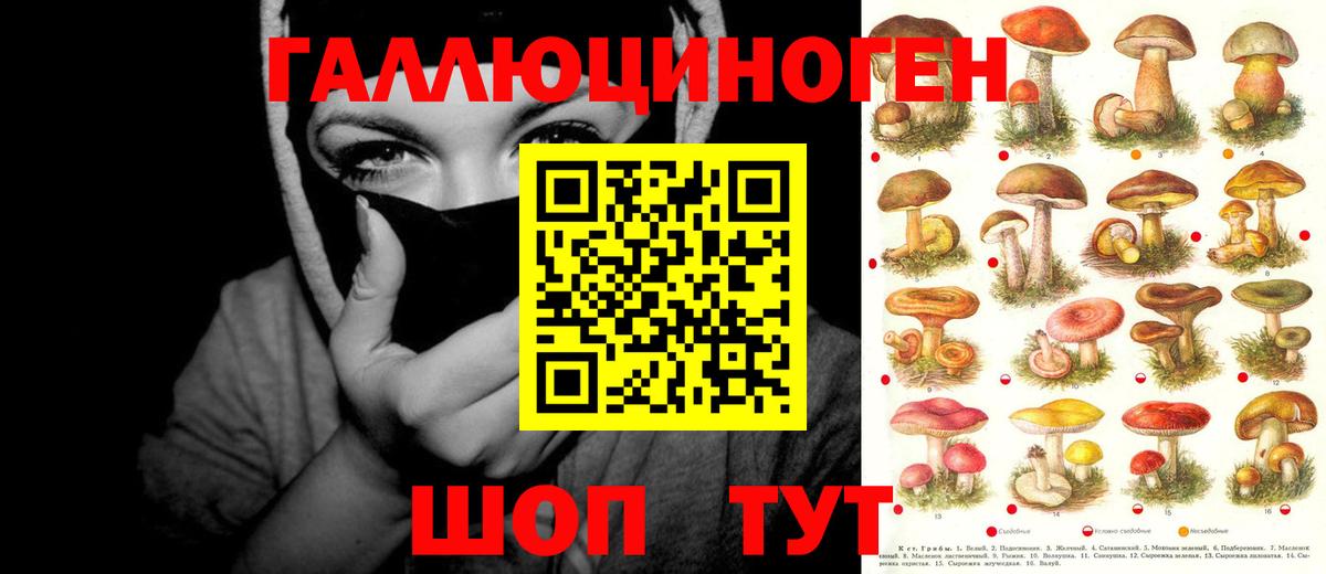 где можно купить   Псилоцибиновые грибы Psilocybine cubensis  Вход с VPN  Нижнекамск 