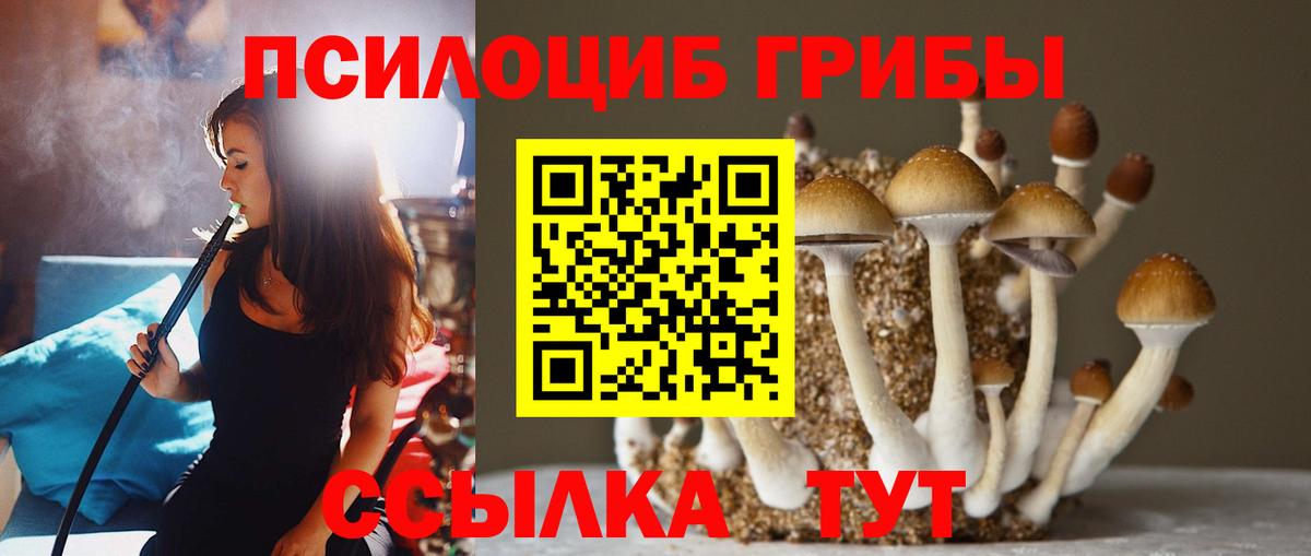 Псилоцибиновые грибы Psilocybine cubensis Нижнекамск
